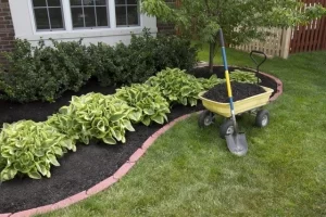 Mulching & Edging