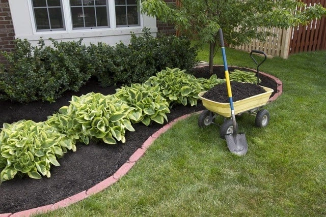 Mulching & Edging