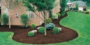 Mulching & Edging1