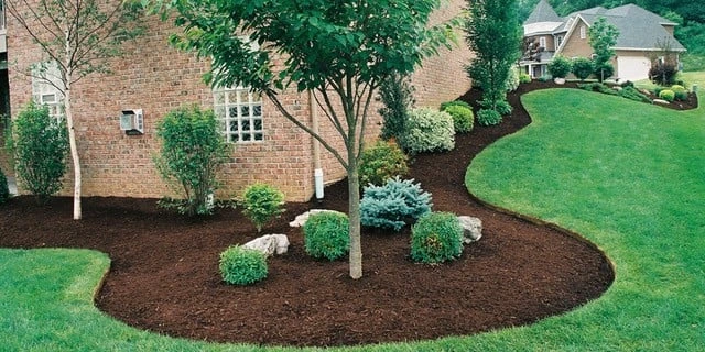 Mulching & Edging1