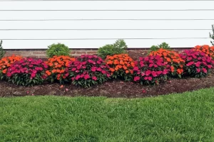 Planting & Garden Care