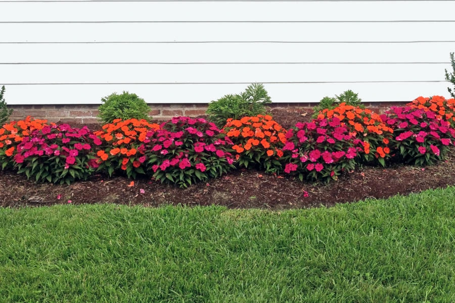 Planting & Garden Care